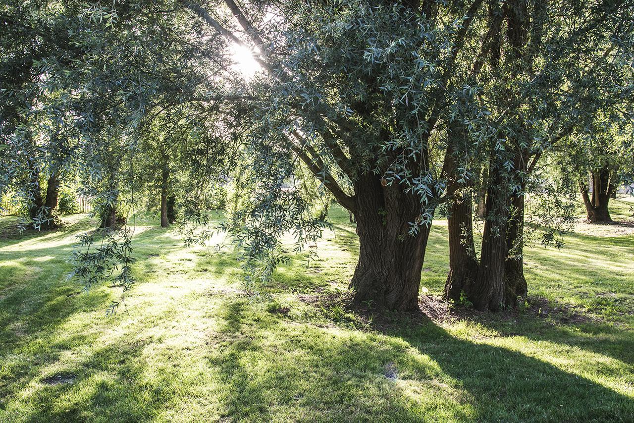 L'Escale des Châteaux de la Loire Angé Extérieur photo